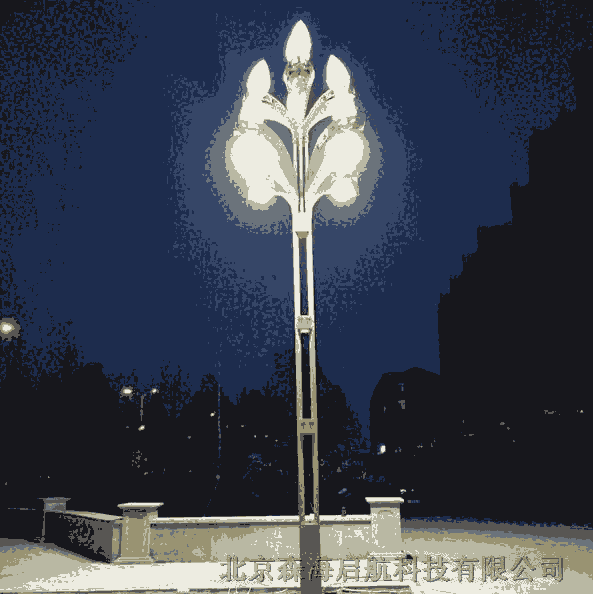 景觀照明中華燈供應商 廠家直銷 北京市電路燈廠