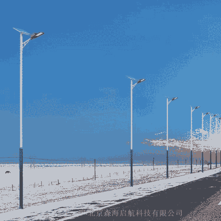 廠區景觀照明燈具 選森海啟航照明加工各種路燈造型