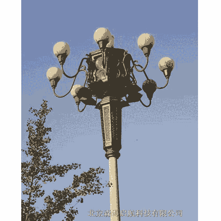 廣場小區中華燈 LED中華燈 工廠批發中華燈報價